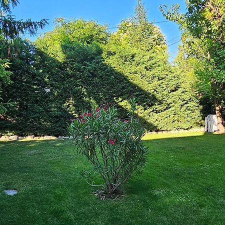 Füred Deluxe Garden Apartment Balatonfüred Exterior foto
