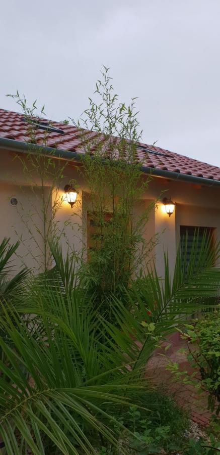 Füred Deluxe Garden Apartment Balatonfüred Exterior foto