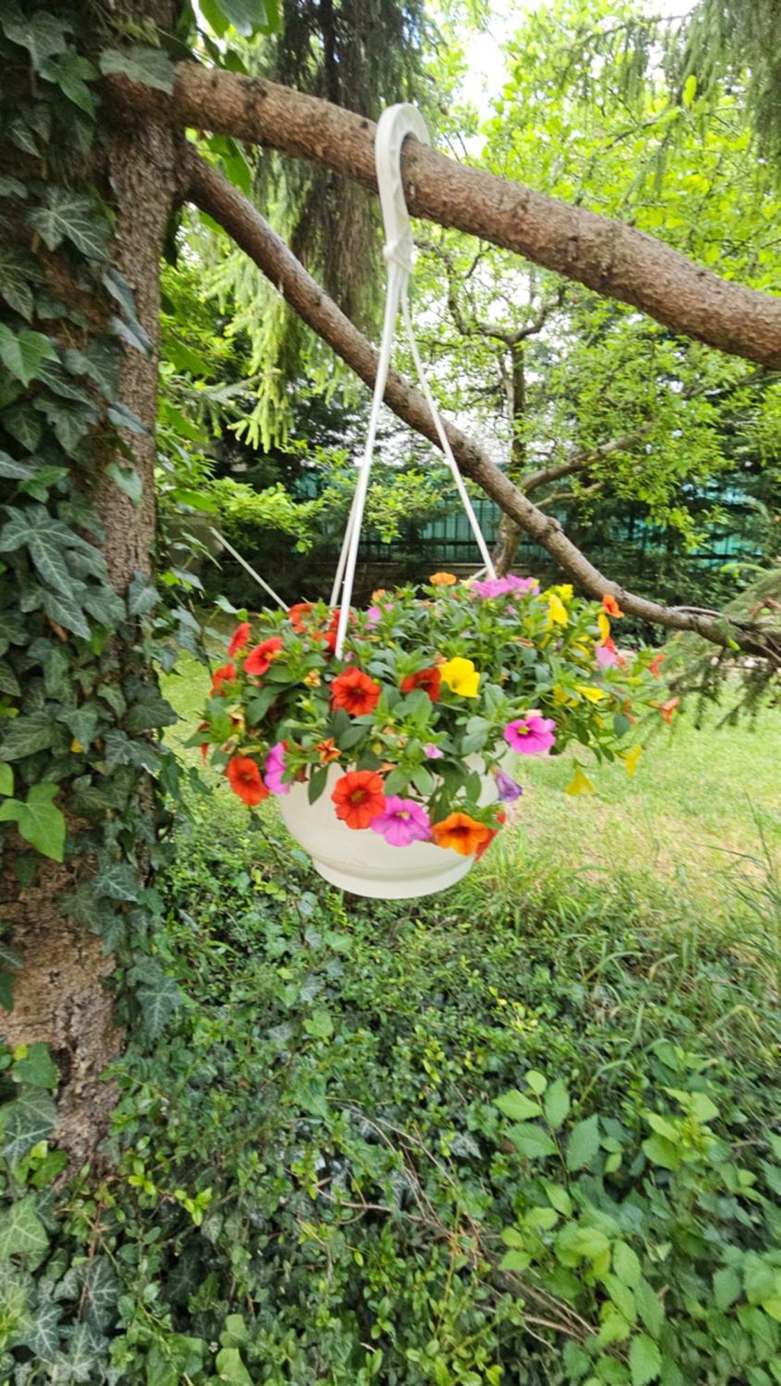 Füred Deluxe Garden Apartment Balatonfüred Exterior foto